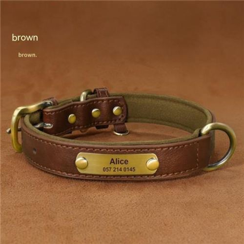 Dog Collar Engraved With Lettering To Prevent Loss Of Neck Collar